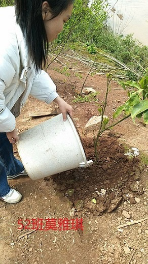 衡陽市蒸湘區(qū)仁愛實驗中學(xué)|衡陽全日制|全寄宿|全封閉|半月假制初級中學(xué) 衡陽市蒸湘區(qū)仁愛實驗中學(xué)|衡陽全日制|全寄宿|全封閉|半月假制初級中學(xué)