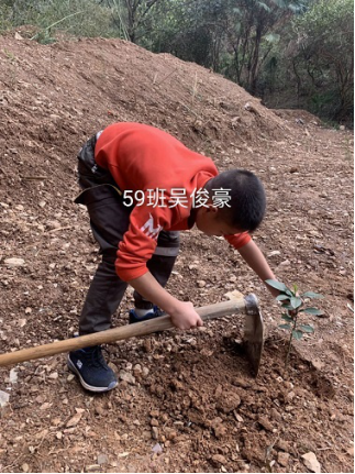 衡陽市蒸湘區(qū)仁愛實驗中學(xué)|衡陽全日制|全寄宿|全封閉|半月假制初級中學(xué) 衡陽市蒸湘區(qū)仁愛實驗中學(xué)|衡陽全日制|全寄宿|全封閉|半月假制初級中學(xué)
