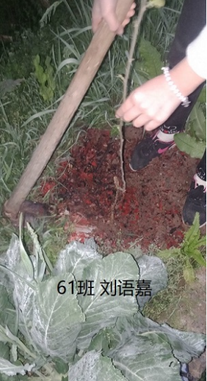 衡陽市蒸湘區(qū)仁愛實驗中學(xué)|衡陽全日制|全寄宿|全封閉|半月假制初級中學(xué) 衡陽市蒸湘區(qū)仁愛實驗中學(xué)|衡陽全日制|全寄宿|全封閉|半月假制初級中學(xué)