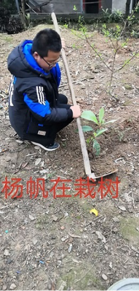 衡陽市蒸湘區(qū)仁愛實驗中學(xué)|衡陽全日制|全寄宿|全封閉|半月假制初級中學(xué) 衡陽市蒸湘區(qū)仁愛實驗中學(xué)|衡陽全日制|全寄宿|全封閉|半月假制初級中學(xué)