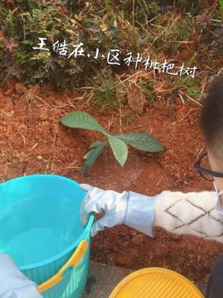 衡陽市蒸湘區(qū)仁愛實驗中學(xué)|衡陽全日制|全寄宿|全封閉|半月假制初級中學(xué) 衡陽市蒸湘區(qū)仁愛實驗中學(xué)|衡陽全日制|全寄宿|全封閉|半月假制初級中學(xué)